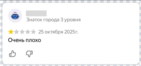 Пример короткого отзыва без описания личного опыта